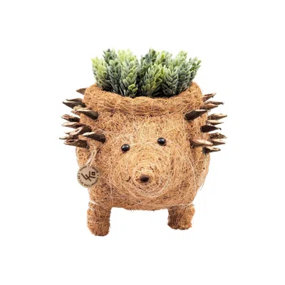 Likha Neutrals Coco Coir Animal Planter Hedgehog