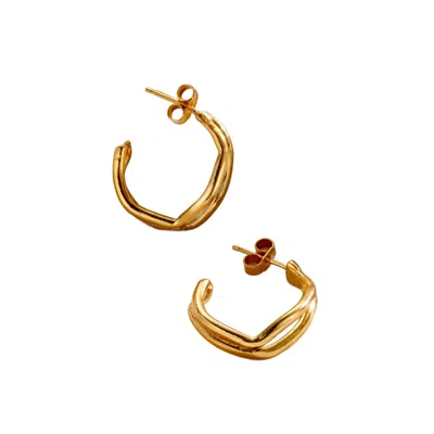 Posh Totty Designs Women's Gold Delta Open - Hoop Earrings