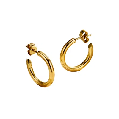 Posh Totty Designs Women's Yellow Gold Plated Flow Open Hoop Earrings