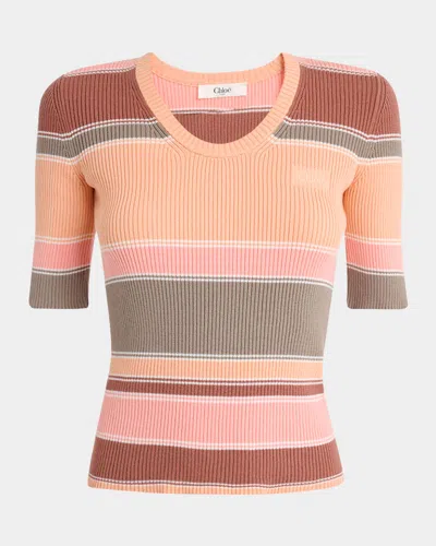 Chloé Striped Crewneck Rib Knit Cotton Top In Multi
