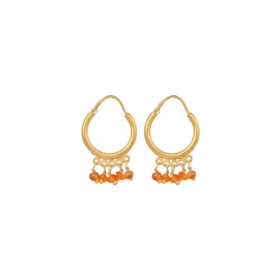 Opium Jewels Women's Gold / Yellow / Orange Small Hoops - Carnelian
