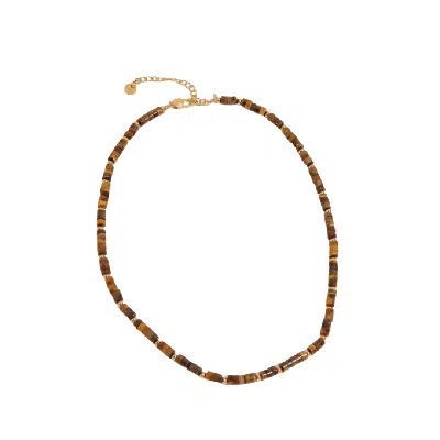 Adiba Women's Gold / Brown Brown Horizon Tiger Eye Stainless Steel Necklace