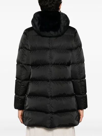 Herno Detachable-hood Padded Jacket In Black