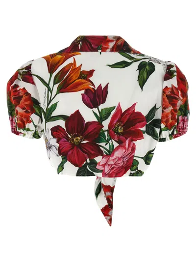 Dolce & Gabbana Anemone Floral Popeline Puff-sleeve Tie Crop Shirt In White