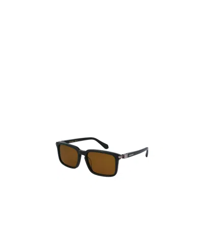 Ferragamo Dark Green Acetate Sunglasses In Brown