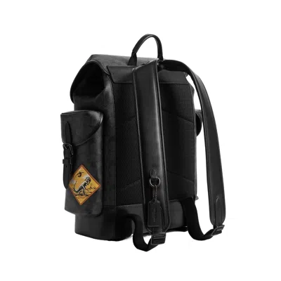 Coach Top Handle Backpack