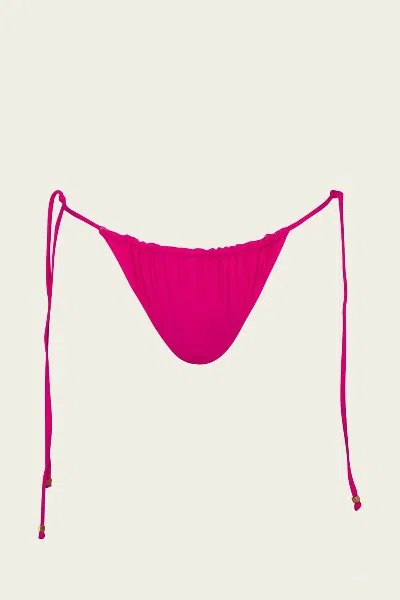 Baobab Kaia Bikini Bottom In Fuchsia In Pink