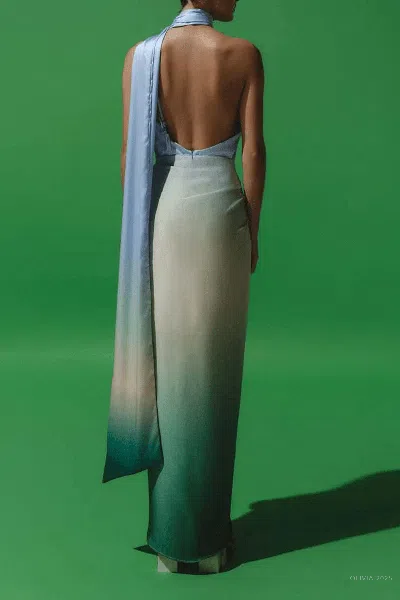 Baobab Lora Midi Dress In Algae In Multi