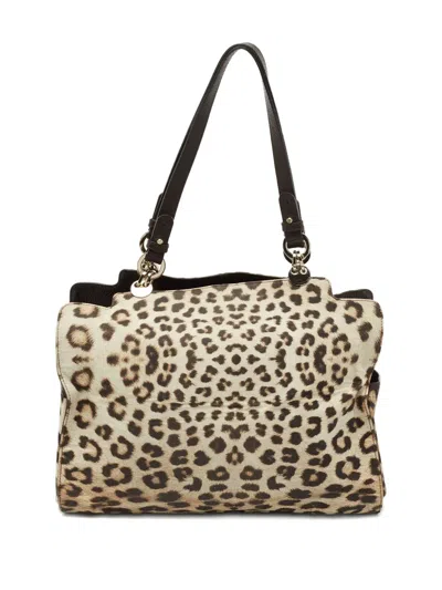 Pre-owned Roberto Cavalli Vintage  Leopard-print Tote Bag In Neutral