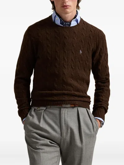 Polo Ralph Lauren Sweater In Brown