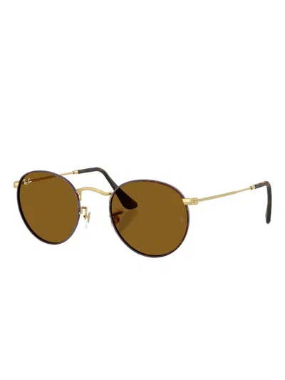 Ray Ban Round-frame Sunglasses In Brown