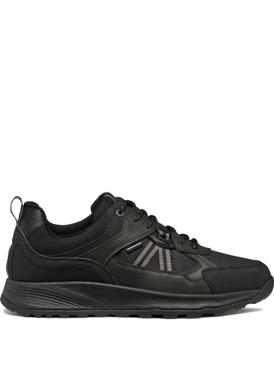 Geox Terrestre Sneakers