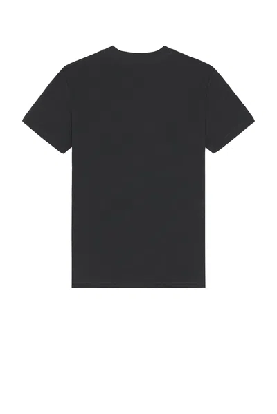 Museum Of Peace And Quiet Naturalist Tee In Black