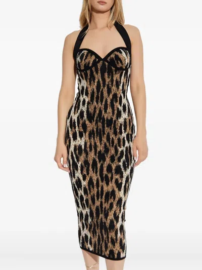 Balmain Halterneck Leopard Print Jacquard Bodycon Dress In Animal Print