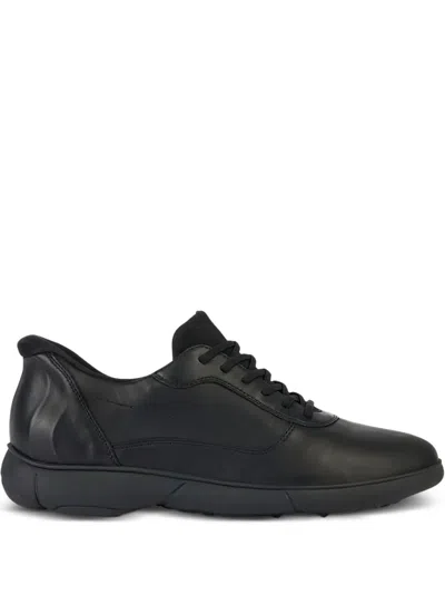 Geox Lace-up Shoe In Black