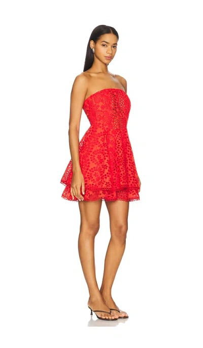 Astr The Label Deasia Eyelet Embroidery Strapless Minidress In Red