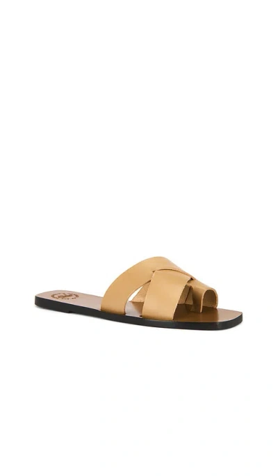 Atp Atelier Fonte Sandals In Gold
