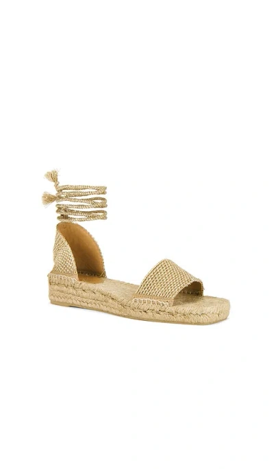 Castaã±er Silvia Espadrille