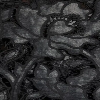 Roberto Cavalli Lace Top With Floral Macramé In Black