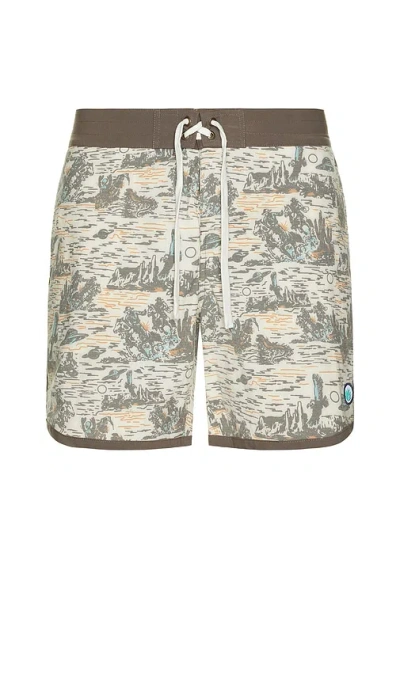 Sendero Provisions Co. Point Bar Boardshorts In Multi