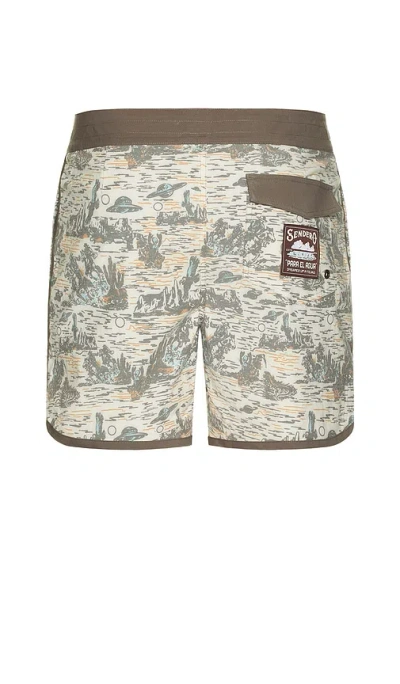 Sendero Provisions Co. Point Bar Boardshorts In Multi