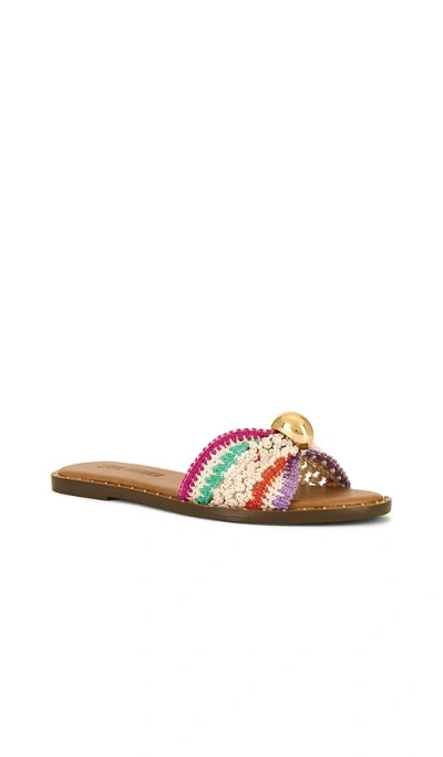 Steve Madden Dipsy Flat In Multi