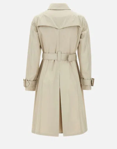 Herno Sand Cotton Gabardine Trench Coat In Gray