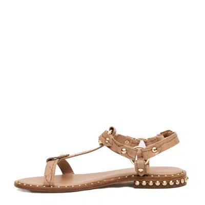 Ash Low Coconut Sandal Beige With Studs In Neutral