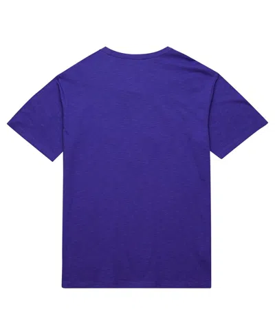 Mitchell & Ness Men's Purple Phoenix Suns Hardwood Classics Felt Applique Slub T-shirt In Blue