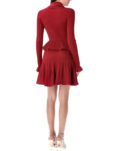 Self-portrait Self Portrait Women Burgundy Pointelle Knit Long-sleeved Mini Dress In Red