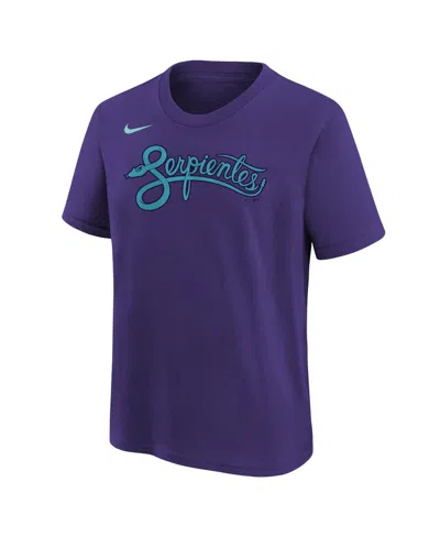 Nike Big Boys And Girls Corbin Carroll Purple Arizona Diamondbacks Fuse City Connect Name Number T-shirt In Blue
