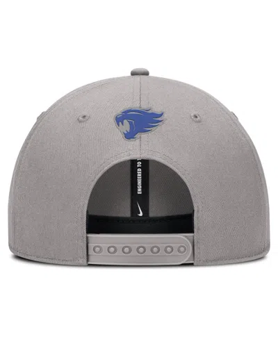 Nike Men's Gray Kentucky Wildcats Rise Practice Adjustable Hat In Gray