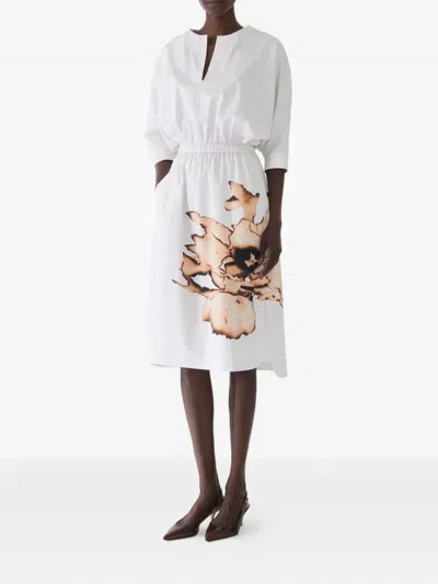 Jason Wu Collection Floral-print Elasticated-waist Midi Dress In White