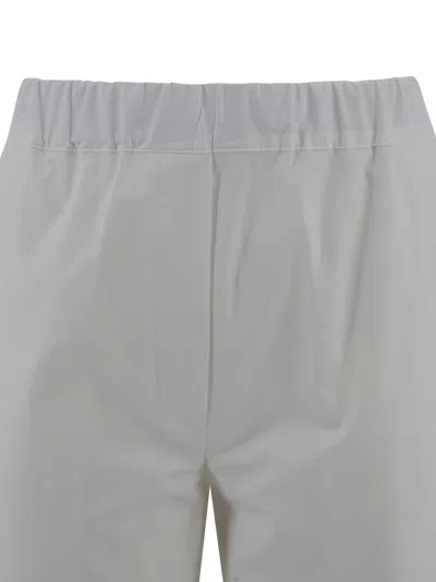 Antonelli Cotton Trousers In Gray