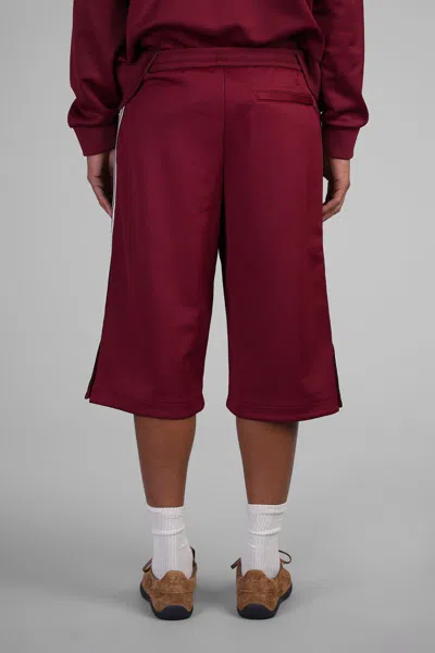 Adidas Originals By Wales Bonner Track Short Shorts In Bordeaux Polyester In Burgundy