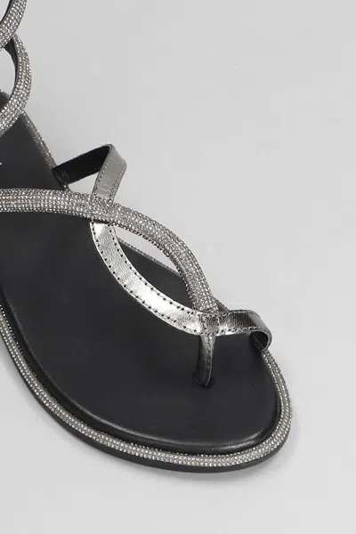 Cbfusion Flats In Black