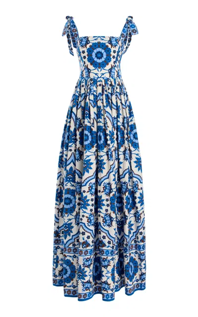 Cara Cara Tula Pleated Printed Cotton-poplin Maxi Dress In Blue