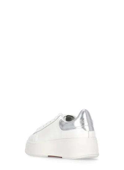 Ash Sneakers