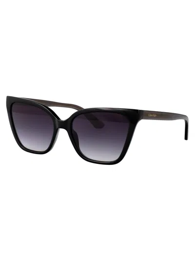 Calvin Klein Cat Eye Sunglasses Ck24507 S 001 In Black