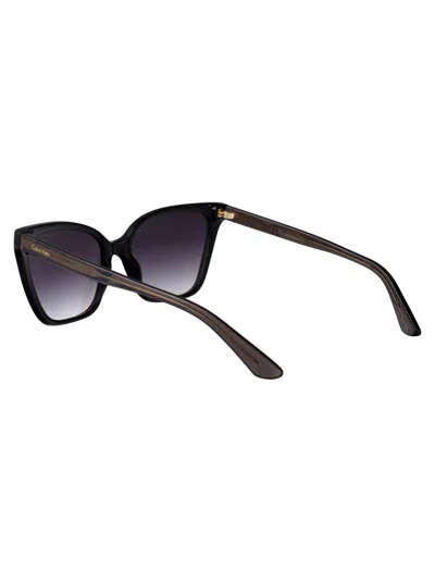Calvin Klein Cat Eye Sunglasses Ck24507 S 001 In Black