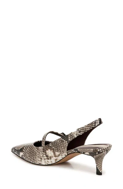 Franco Sarto Khloe Snakeskin Print Pointed Toe Pump