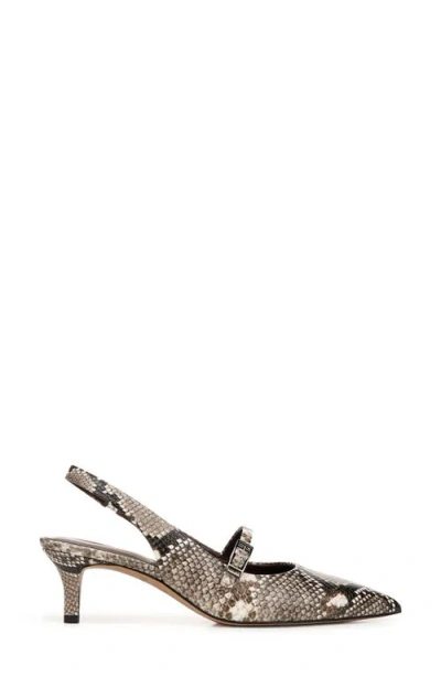 Franco Sarto Khloe Snakeskin Print Pointed Toe Pump