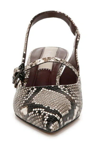 Franco Sarto Khloe Snakeskin Print Pointed Toe Pump