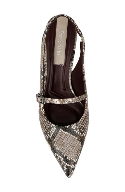 Franco Sarto Khloe Snakeskin Print Pointed Toe Pump