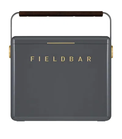 Fieldbar Gin Trunk Cooler Box In Gray