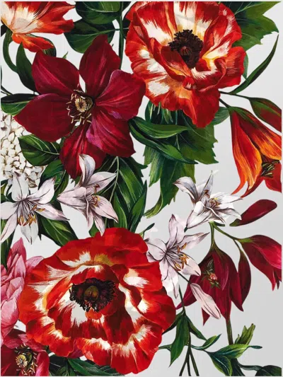 Dolce & Gabbana Floral Print Scarf Scarves And Foulards Multicolor