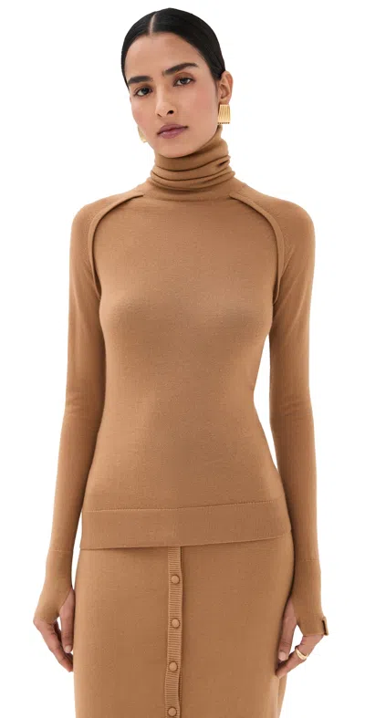 Victoria Beckham Wool Turtleneck Sweater In Brown