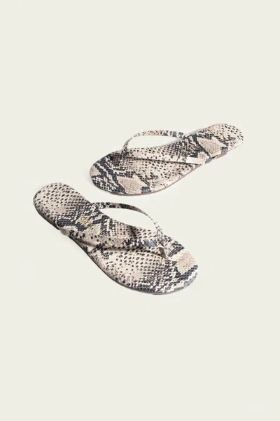 Tkees Lily Vegan Animal Flip Flops In Sand Snake