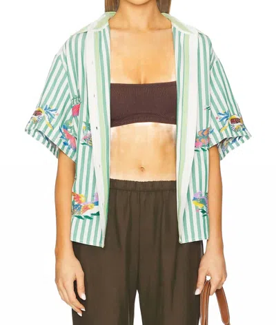 Free People X We The Free The Bird Shirt In Green