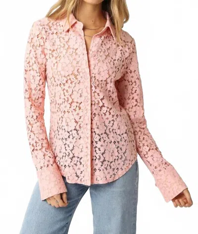 Olivaceous Celine Lace Blouse In Blush In Pink